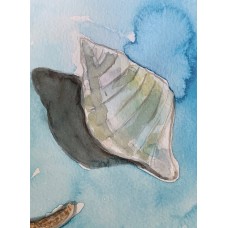 Seashells — Original Watercolor Painting by Marina Stognieva | Crimea | Picturesque Guide to Ukraine Seashells — Original Watercolor Painting by Marina Stognieva | Crimea | Picturesque Guide to Ukraine